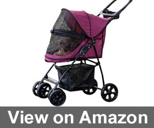 cat stroller for two cats