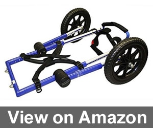 walking wheels toy