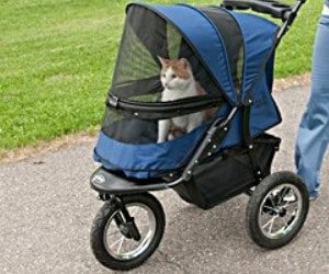 cheap cat strollers