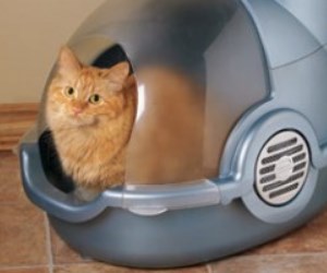 dog litter box canada