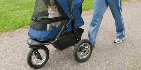 baby pram with dog compartment