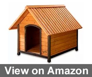 best wood for dog house