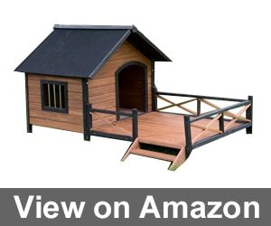 best dog house for large dogs