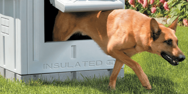 10 Best Dog Houses To Buy In February 2020 Buyer S Guide