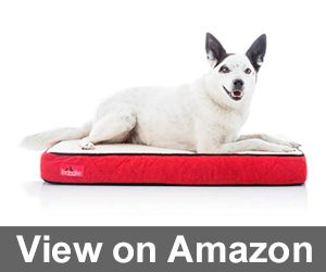 Brindle Waterproof Designer Memory Foam Pet Bed Review