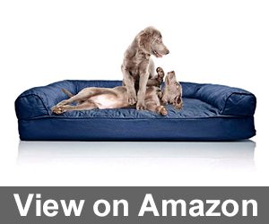 Furhaven Pet Dog Bed Review