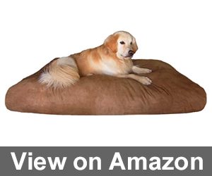 Overstuffed Orthopedic Dog Pillow Review