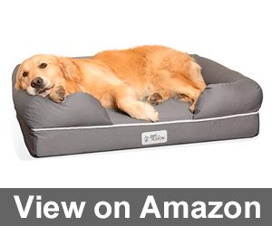 PetFusion Ultimate Pet Bed Review