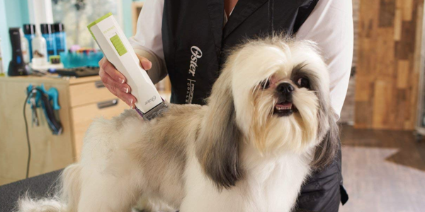 the best professional dog grooming clippers