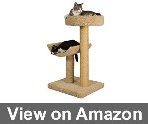 Simple Sleeper Cat Scratch Post and Bed Review