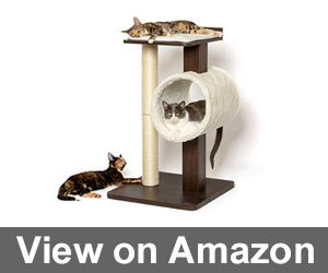 PetFusion Modern Cat Tree House Review