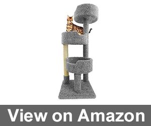 CozyCatFurniture Cat Tower Review