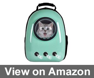 Giantex Astronaut Pet Review