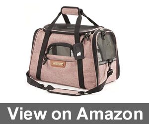 Pet Travel Carrier by Pawfect Pets Review