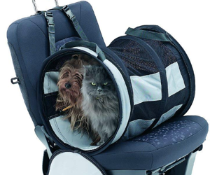 Best Cat Carriers