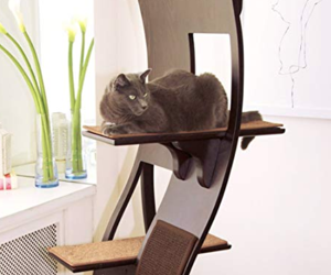 Best Cat Trees