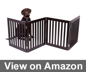 Internet's Best Traditional Dog Gate Review