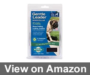 PetSafe Gentle Leader Collar Review