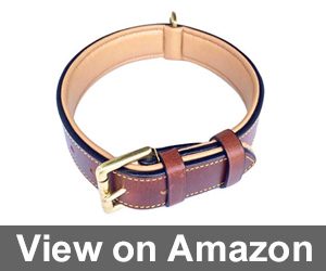 Soft Touch Collars Luxury Review