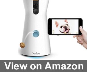 Furbo Dog Camera Review