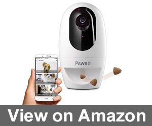 Pawbo Life Pet Camera Review