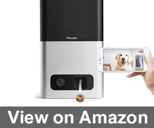 Petcube Bites Pet Camera Review