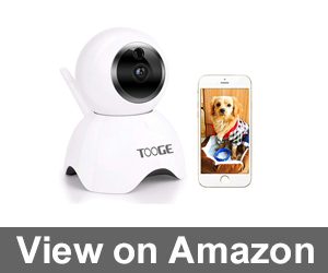 TOOGE Pet Camera Review