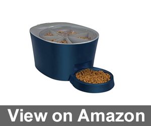 PetSafe Six Meal Automatic Pet Feeder Review