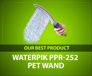  Waterpik PPR-252 review