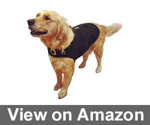 Agon CozyFur Patent Pending Canine Anti Anxiety Vest Review