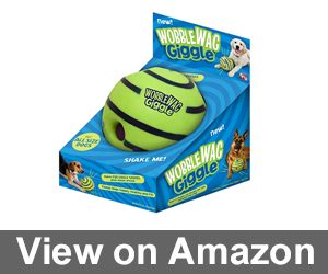 Allstar Innovations Wobble Wag Giggle Review