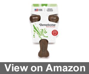 Benebone Real Flavor Wishbone Review