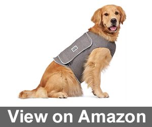 Comfort Zone Calming Vests Review