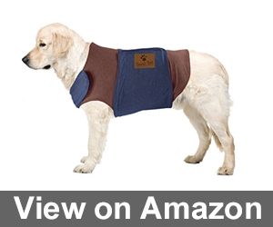 Emmy’s Best Premium Pet Products Two Tone Soft Fabric Jacket Review