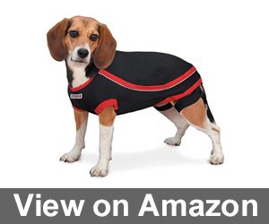 KONG Anxiety Reducing Pet Shirt, Black Review