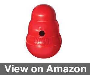 KONG - Wobbler - Interactive Treat Dispensing Review