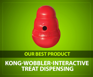KONG Wobbler Interactive Treat review