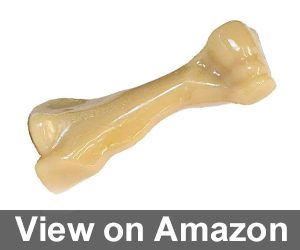 Nylabone Big Chew Review