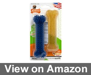 Nylabone Dental Chew Petit Review