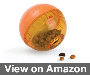 OurPets IQ Treat Ball Interactive Food Dispensing Dog Toy Review