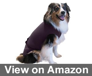 Surgi Snuggly Dog Cone Review