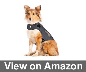 ThunderShirt Classic Dog Anxiety Jacket Review