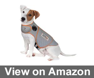 ThunderShirt Sport Dog Anxiety Jacket Review