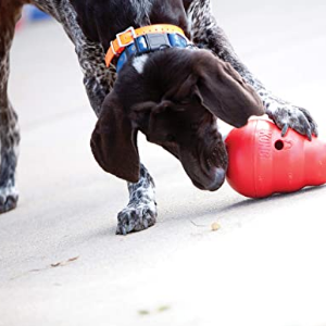 KONG Wobbler Interactive Treat review