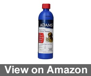 Adams Flea and Tick Cleansing Shampoo, 12-Ounce Review