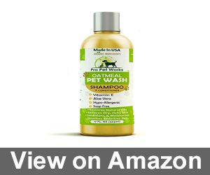 Pro Pet Works All Natural Oatmeal Dog Shampoo Review