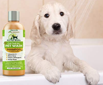 Best Dog Shampoos