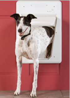 best electronic doggy door