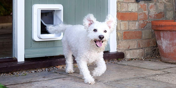 10 Best Electronic Dog Doors To Buy In January 2020