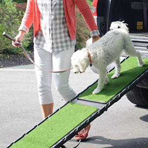 Best Dog Ramps